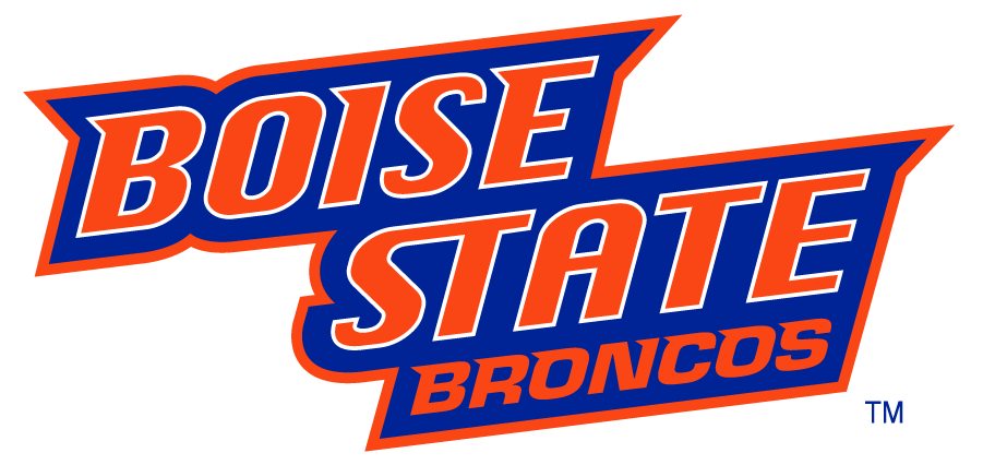 Boise State Broncos 2002-2012 Wordmark Logo v4 DIY iron on transfer (heat transfer)